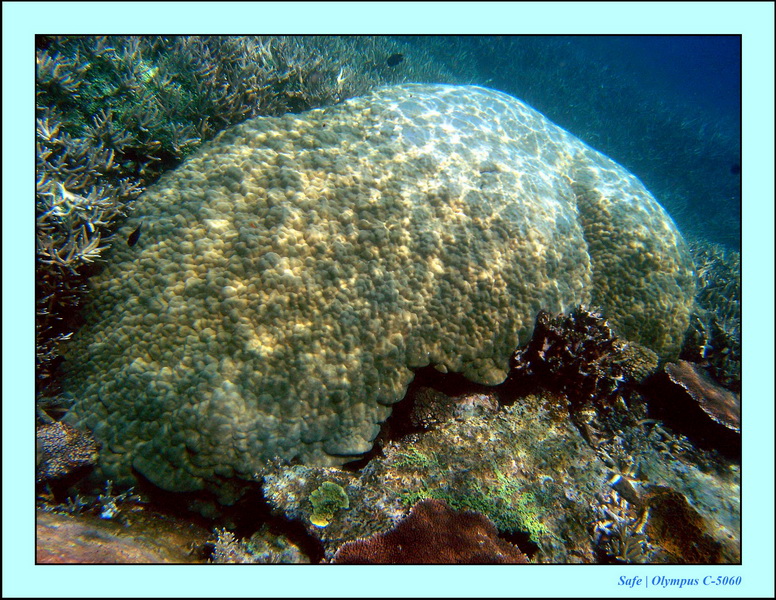 2005 - 08 - Redang  - 144.JPG